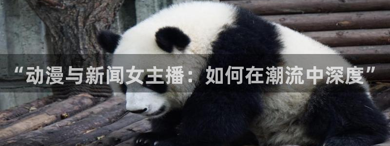 樱花动漫官网高清在线