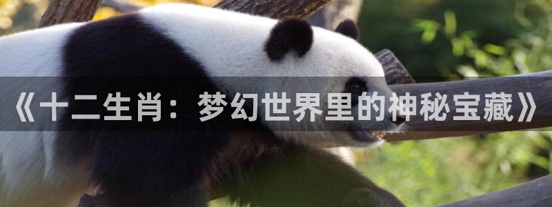 樱花动漫手机专注动漫门户：《十二生肖：梦幻世界里的神秘宝藏》