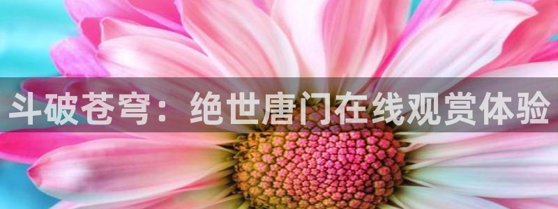 父鬼全集无删减樱花动漫：斗破苍穹：绝世唐门在线观赏体验
