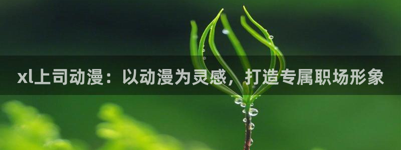 樱花动漫6：xl上司动漫：以动漫为灵感，打造专属职场形象